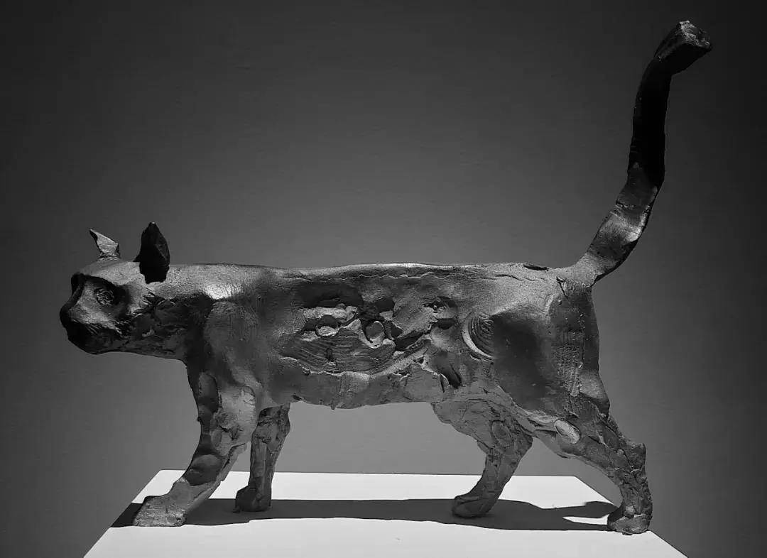 专栏1515青年艺术家创作计划评委会委员蒋铁骊