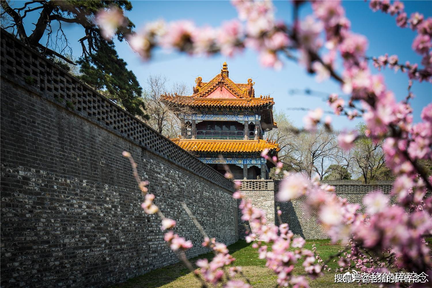 有一个叫德因泽的,揭发的大妃阿巴亥暗中送与大贝勒代善及四贝勒