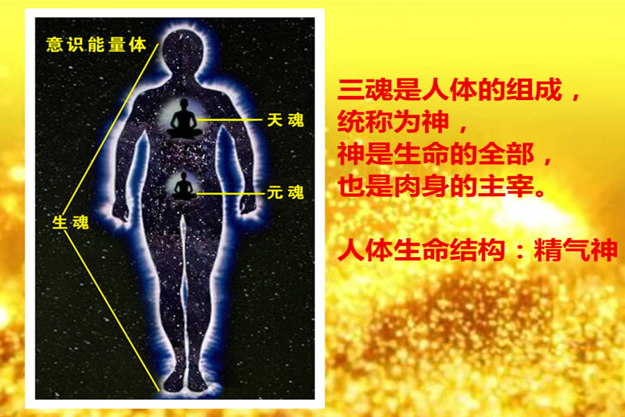 黄庭的准确位置图片图片