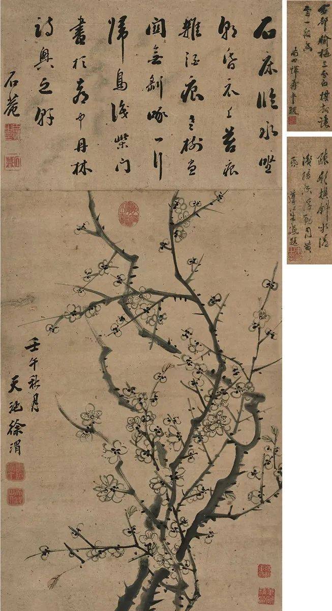 徐青藤泼墨经典,看个过瘾