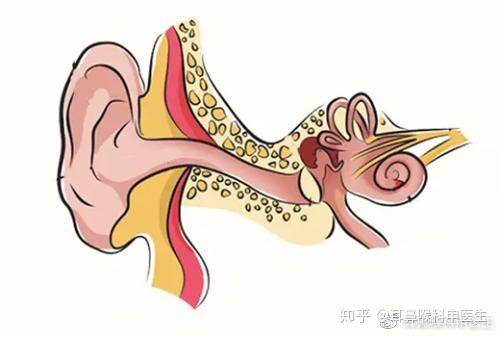 夏季潮湿注意耳内卫生小心霉菌性外耳道炎