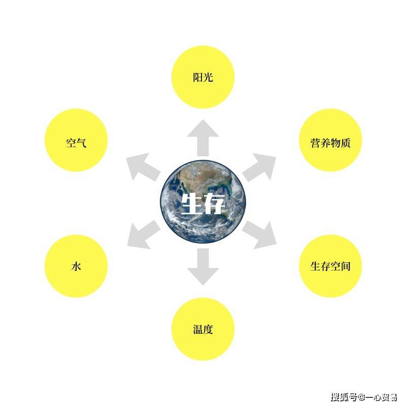 生存所需的六大要素之空气篇