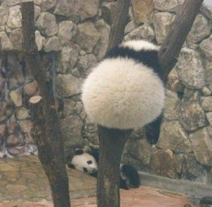 图片[14] - 【xizi被窝段子20200818】人生的旅程就是这样：用大把时间迷茫 在几个瞬间成长 - xizi