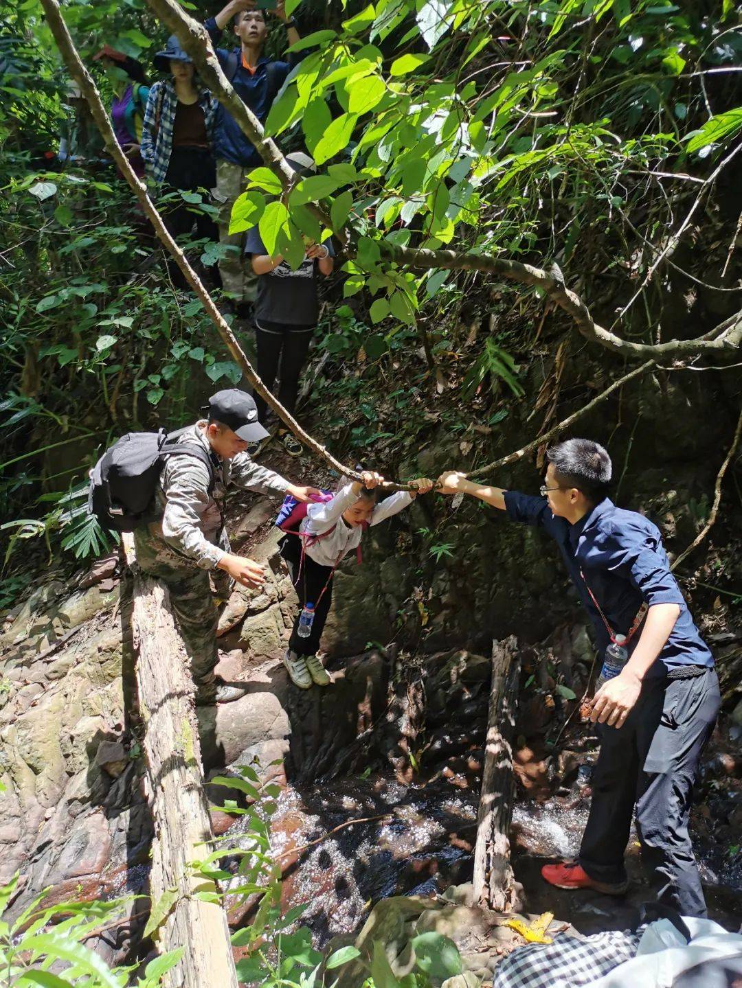 西双版纳热带雨林研学探险记