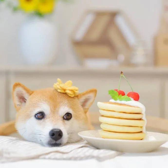 图片[12] - 【xizi被窝段子20200818】人生的旅程就是这样：用大把时间迷茫 在几个瞬间成长 - xizi