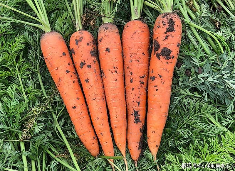 超市买胡萝卜,选干净的还是带泥的?超市员工:区别很大,别买错_拔萝卜