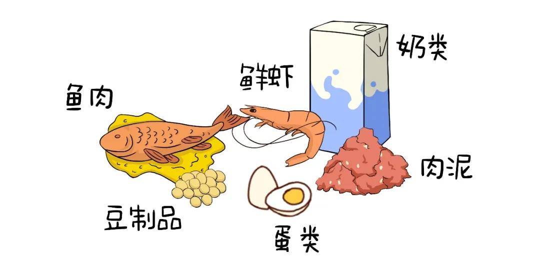 高蛋白食物卡通图片