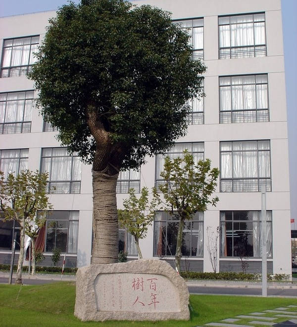 部分省本一批已经录取结束,这个学校分数上涨,你被录取了吗?