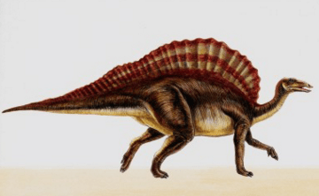 世界上十大体型最大的恐龙,你知道几个?