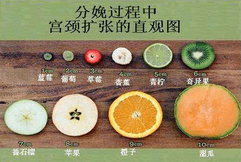 从1厘米扩张到2厘米,3厘米,直到宫口10厘米,也就是我们所说的宫口全开