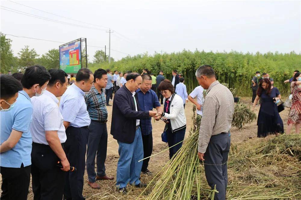 与会领导,来宾,专家学者,企业家还深入祯祥镇工业大麻现代农业科技