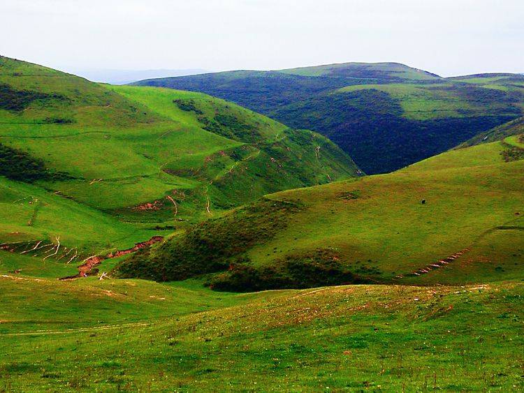 组图:梦回西垂古镇杨家寺,大庄草原的那片绿