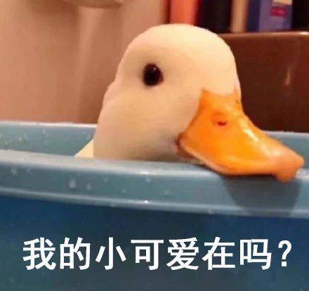 热门表情包图片:暴富指南,通往赚赚侠之路_手机搜狐网