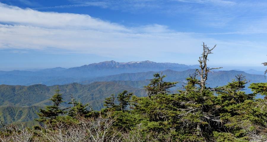 市场不会马上变好！家电企业只能加油拼命干-家电圈官网