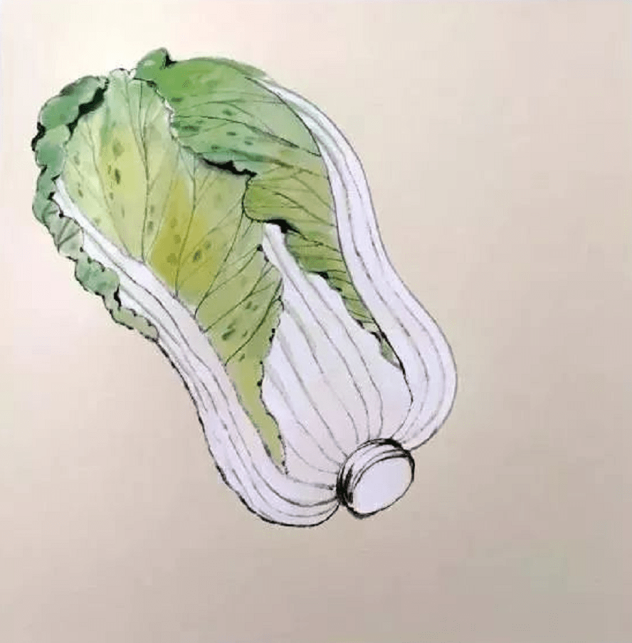 工笔画《白菜》绘制步骤示范