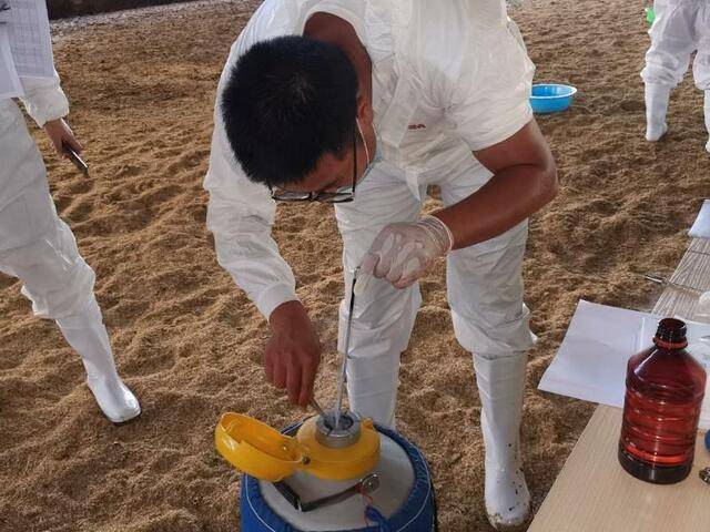 石家庄市举办第三届牛人工授精技术大比武决赛