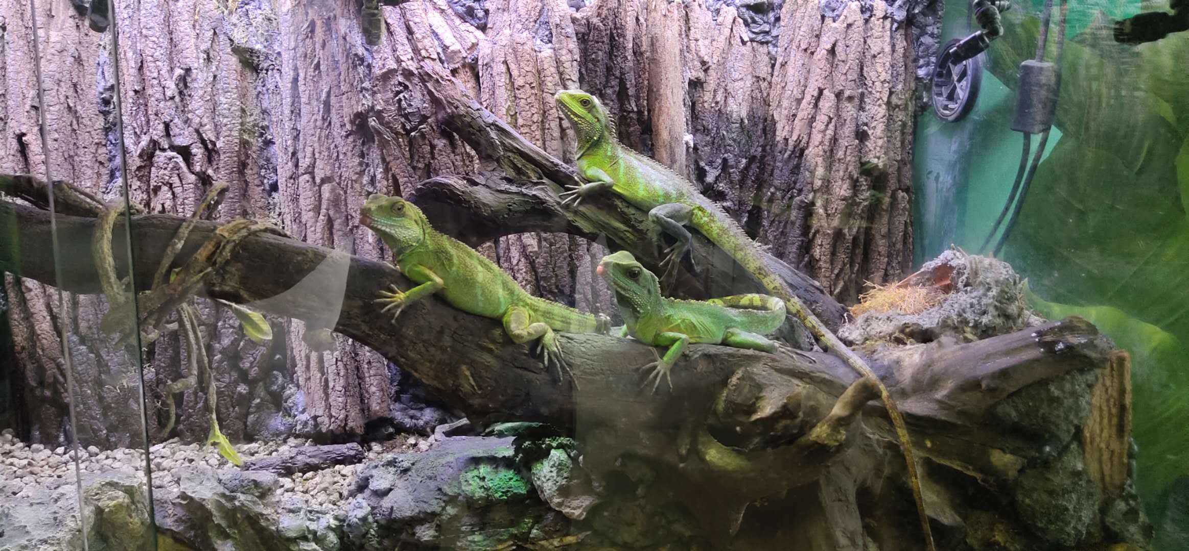 承德宽城县清河源萌宠乐园