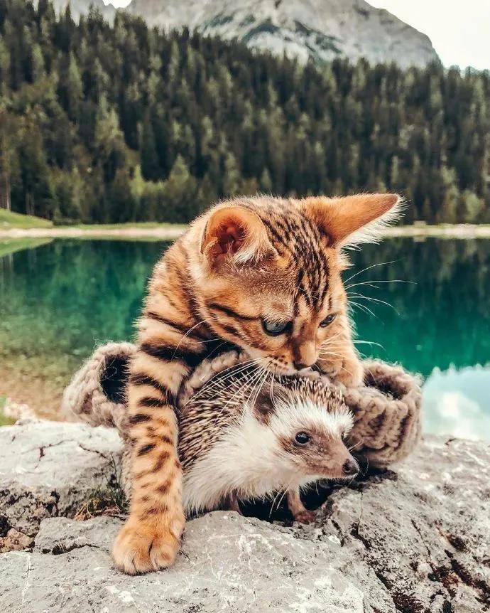 图片[15] - 【xizi被窝段子20200828】别跟往事干杯 往事都快吐了 - xizi