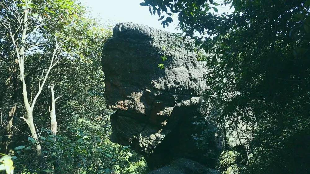 通往浮石大山脑莲花坞旅游点的路变靓啦!_南康