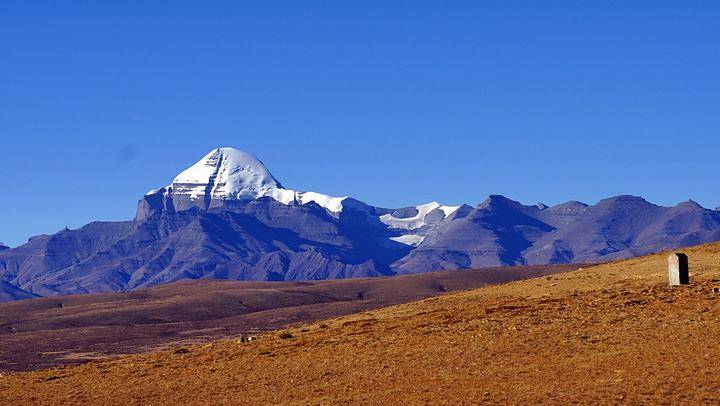 冈底斯山发现谜一样化石,专家经过研究,竟不知道它是什么生物的_手机
