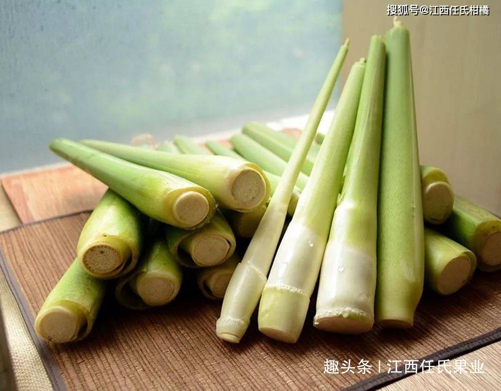 茭白的种植技术献给你!学会这些要求,一定高产大丰收_手机搜狐网