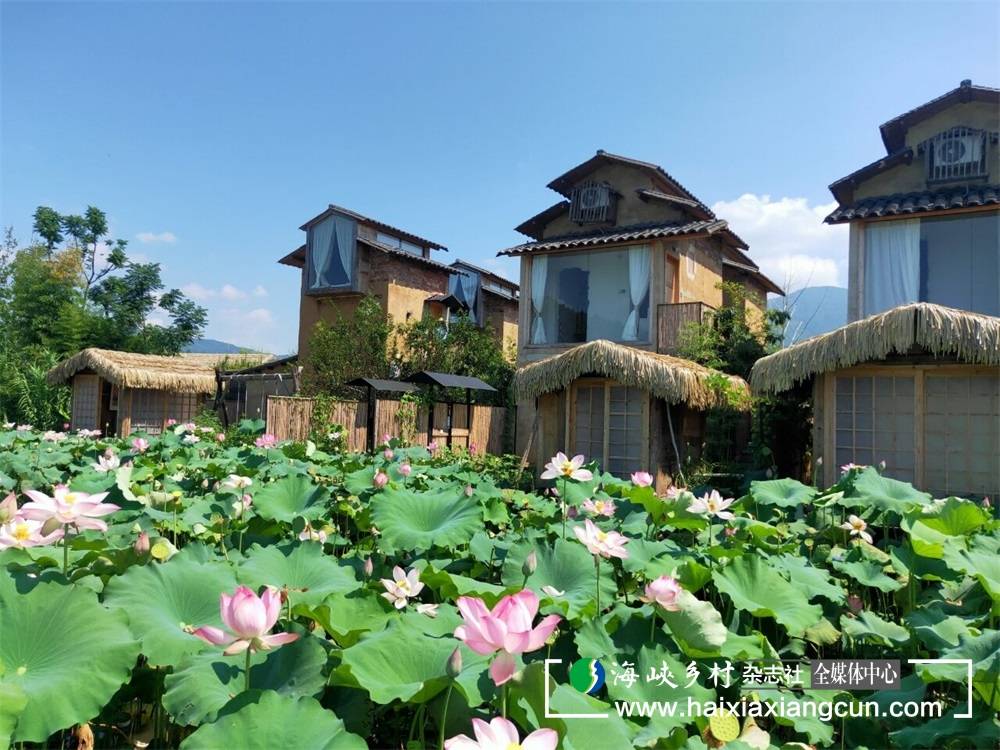 武夷山市五夫镇:青年返乡创业加速产业融合与乡村振兴