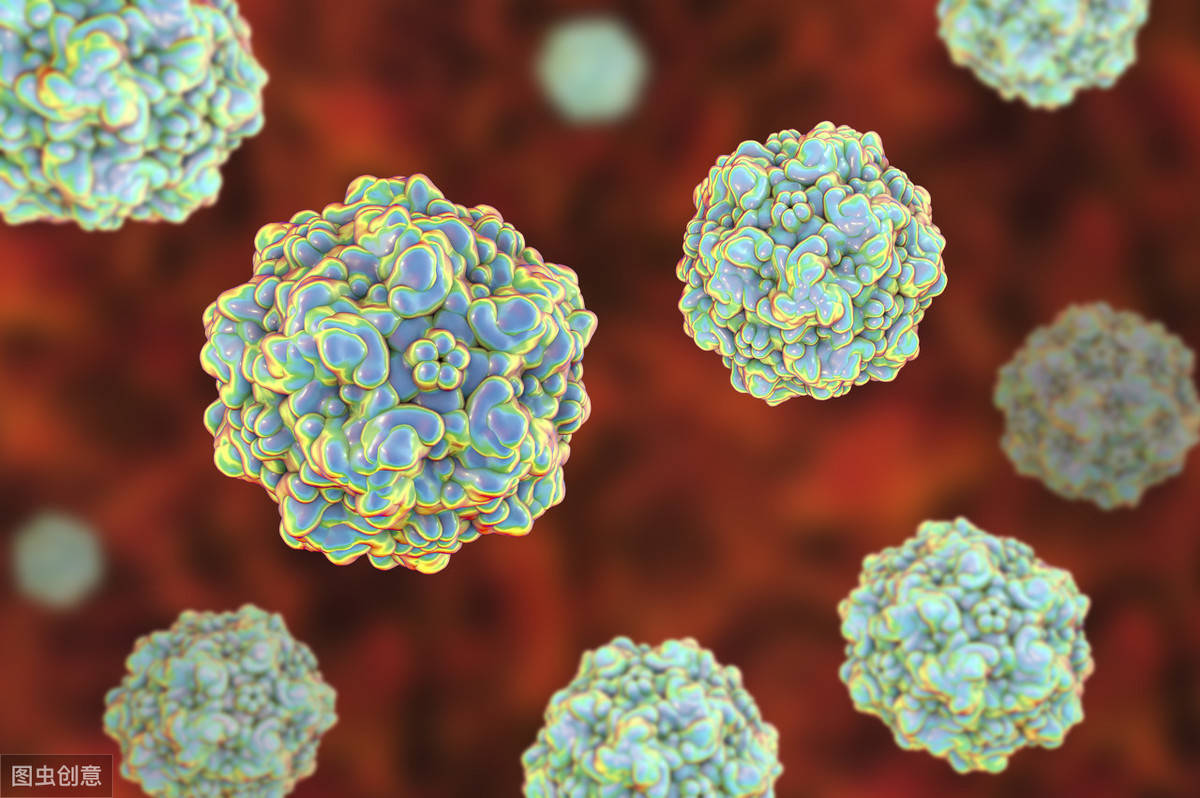 辟谣:狗狗得了细小病毒以后会影响生长发育?这种病没那么大威力