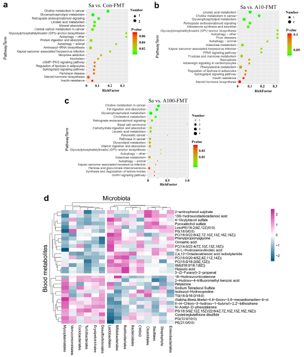 lc-ms非靶向代谢组学 微生物16s中国农科院团队继gut后又喜登顶刊