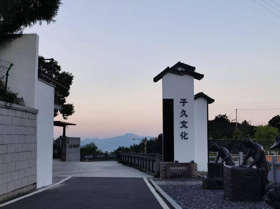 【茗边聚焦】茶梦丽景:平阳黄汤茶博园