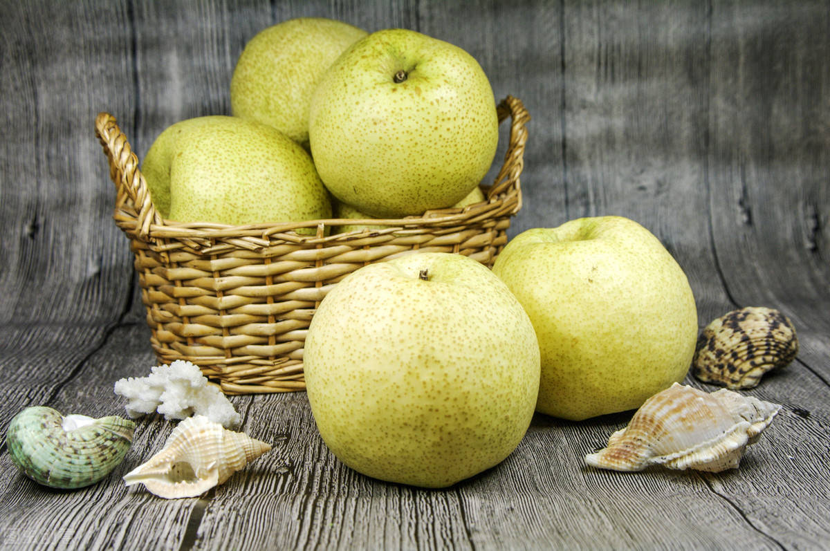 原创肉厚汁多皮又薄酥脆爽口清香四溢这样的砀山酥梨你吃过吗