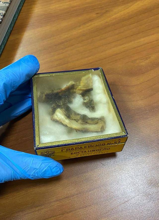 希特勒的尸体残骸被曝光了俄方罕见公布高清照片粉碎阴谋论