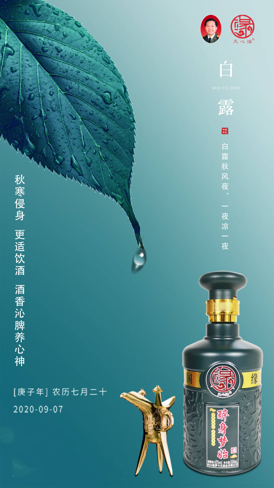 白露至丨秋寒侵身最宜饮酒