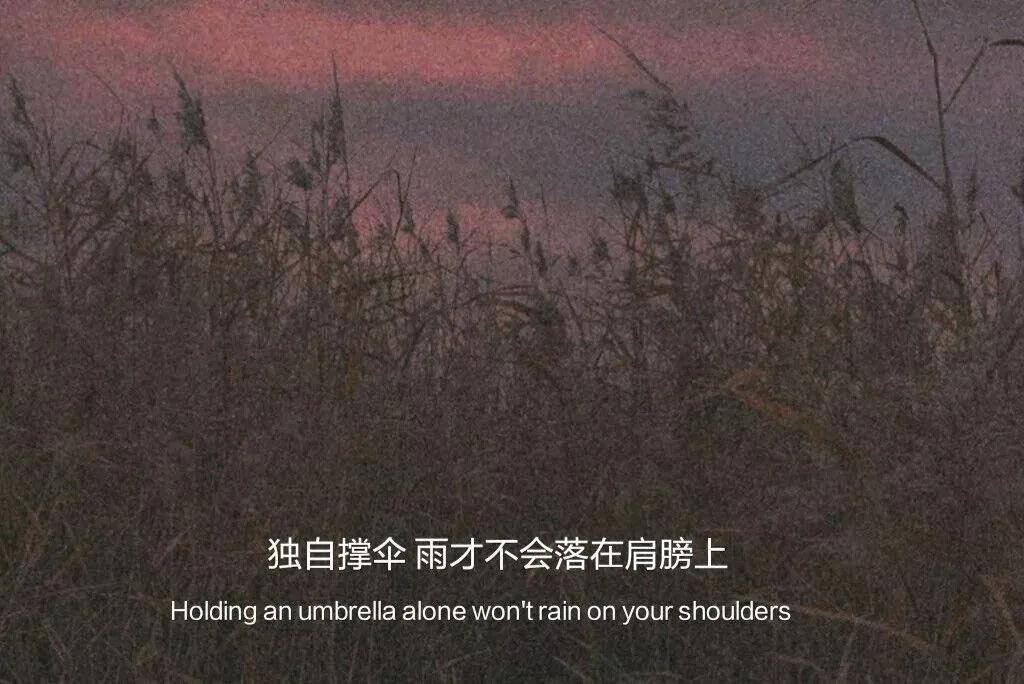 "我对你仍然向往但不抱有希望"