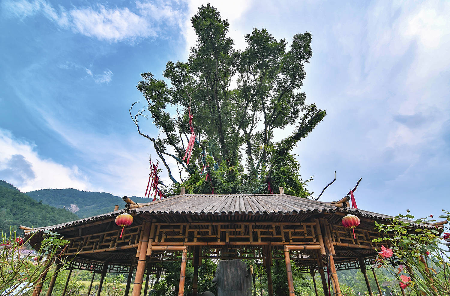 天仙峽景區是天柱山新近開發的旅遊景點,有玻璃滑道,愛情花海,天賜大