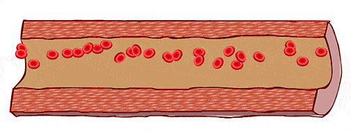 504_189gif 动态图 动图