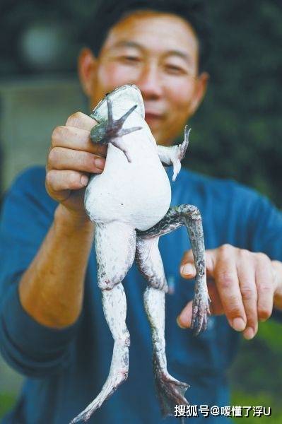 污染后,海底生物纷纷变异,我们是不是该反思,该如何挽回,弥补