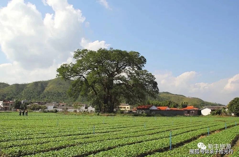 不二拾光江门图片