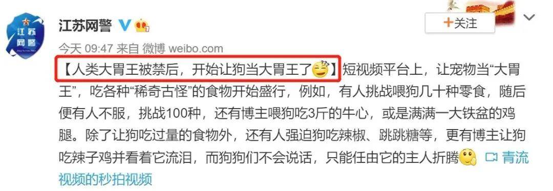 宠物博主为博关注不择手段:让狗当大胃王,强迫狗吃辣椒.