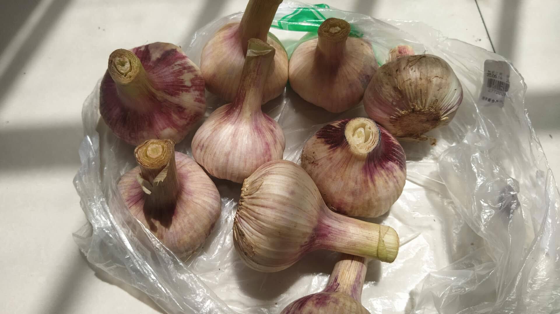 现在才明白保存大蒜这么简单放上一年不发芽不干瘪太鲜了