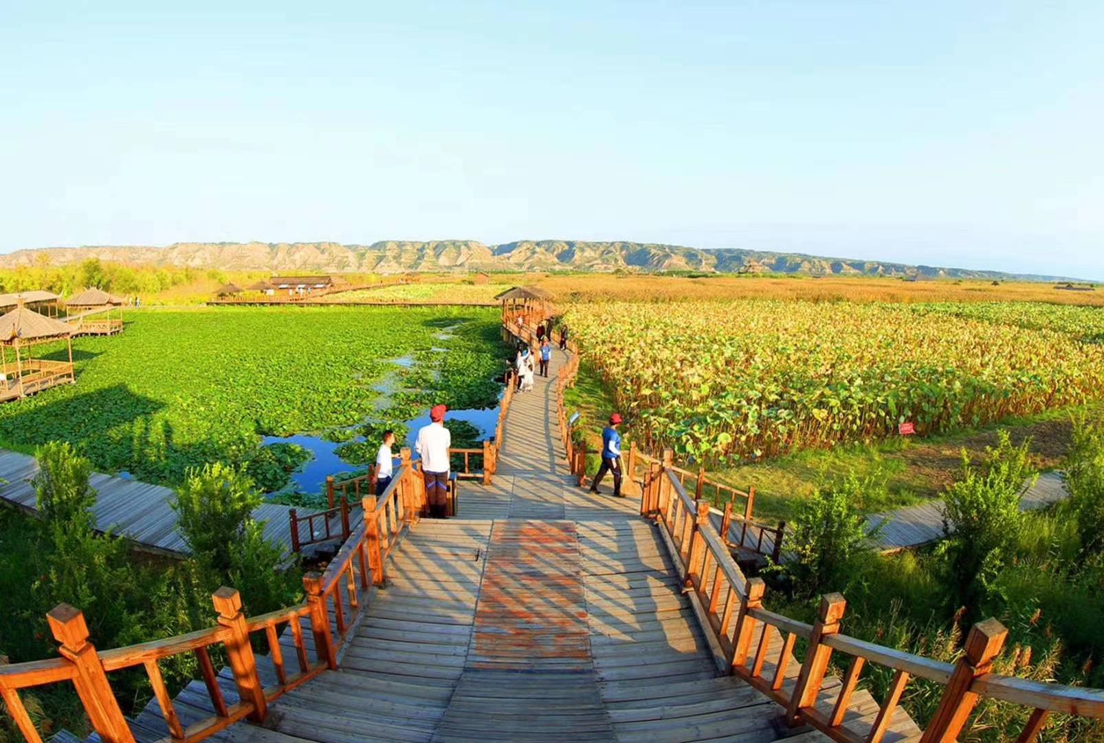 洽川湿地秋色之美