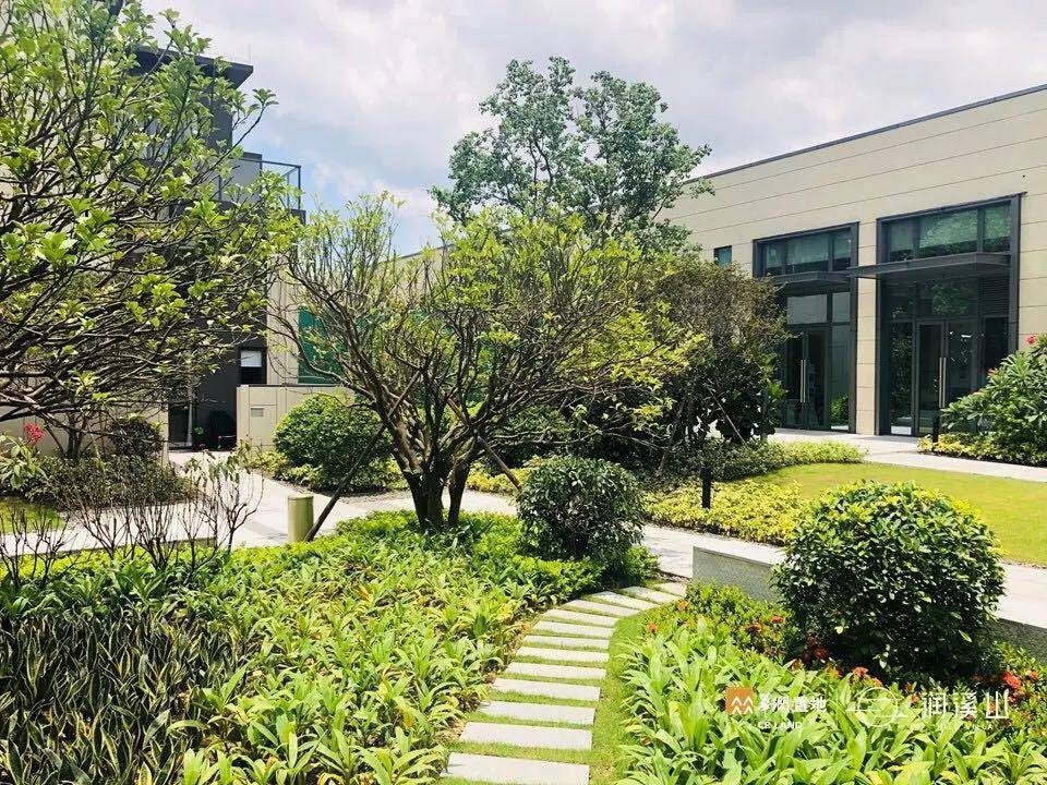 为何被众说纷纭东莞华润润溪山为何这么火爆专业人士是这样说的