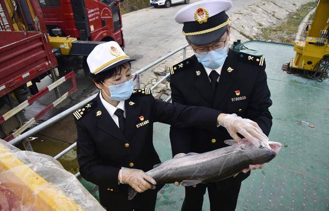 西宁海关多措并举助力高原冷水鱼闯出大市场