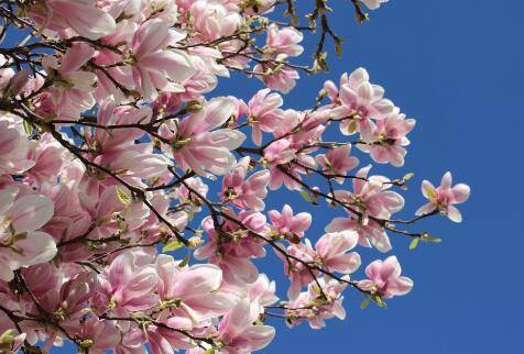 图片[7] - 吓死人！迪士尼《花木兰联名鞋》夸张的审美根本来自阴间！ - xizi