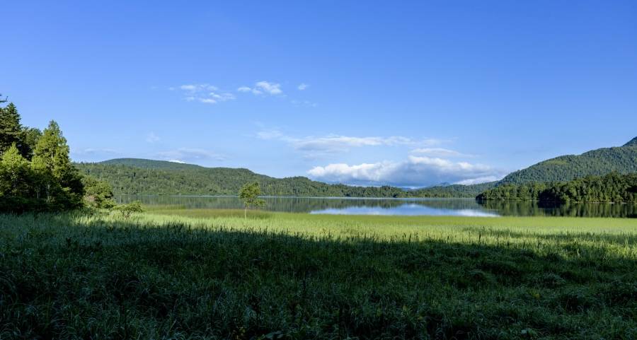 头部家电企业新赛道加速转弯:海尔美的海信抢跑,TCL格力跟进-家电圈官网