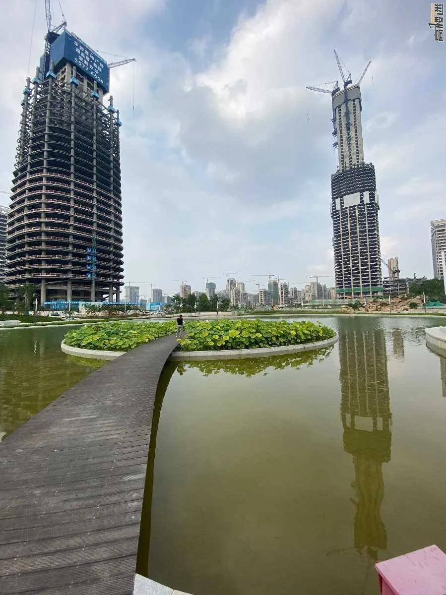 探秘济南cbd唯一人工湖,"五指山"掌心种荷花_楼友