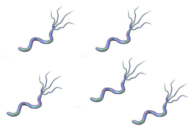 热白开加一物,平时使劲喝,告别幽门螺杆菌,远离胃病