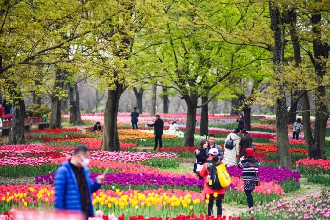 期待從荒野到花園秀麗東方從未停下2020年未來可期