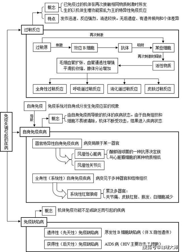 高中免疫调节总结图图片