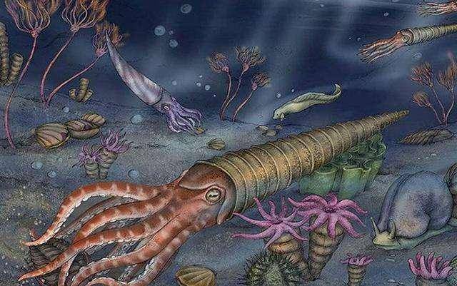 泥盆纪考古又现新地点,贵州省一地发现远古海洋生物群,多达83种