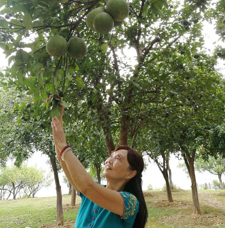 谁言秋绪愁思漫, 笑看云天雁字来.